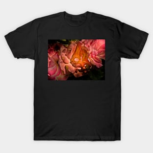 Backyard Flowers 40 Color Version T-Shirt